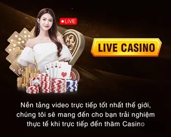 Khung cảnh sân đấu đá gà qq888