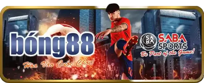 Hỗ trợ trực tuyến 24/7 tại qq888